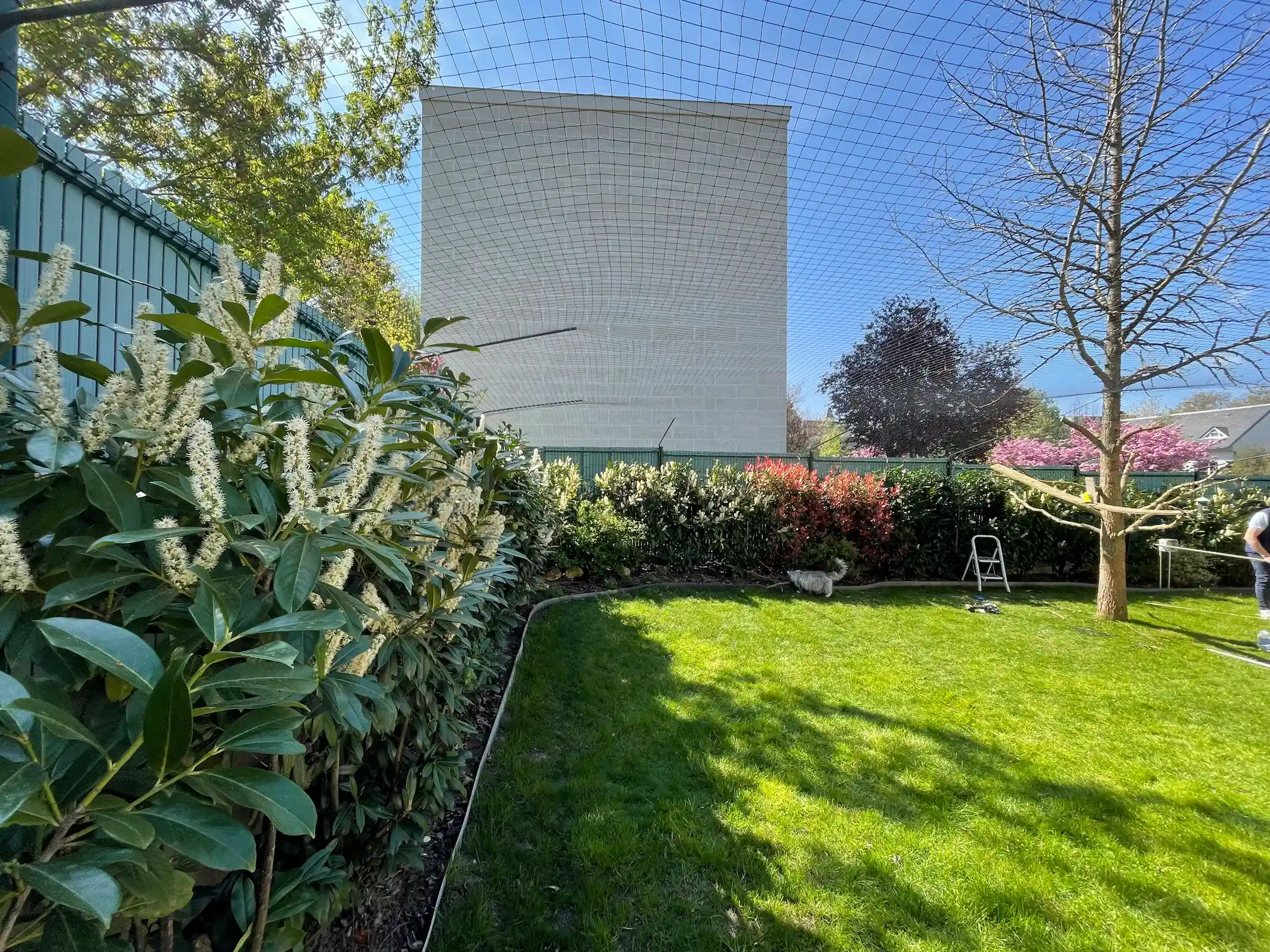 Clôture de jardin équipée d’un bavolet anti fugue pour empêcher un chat de sortir