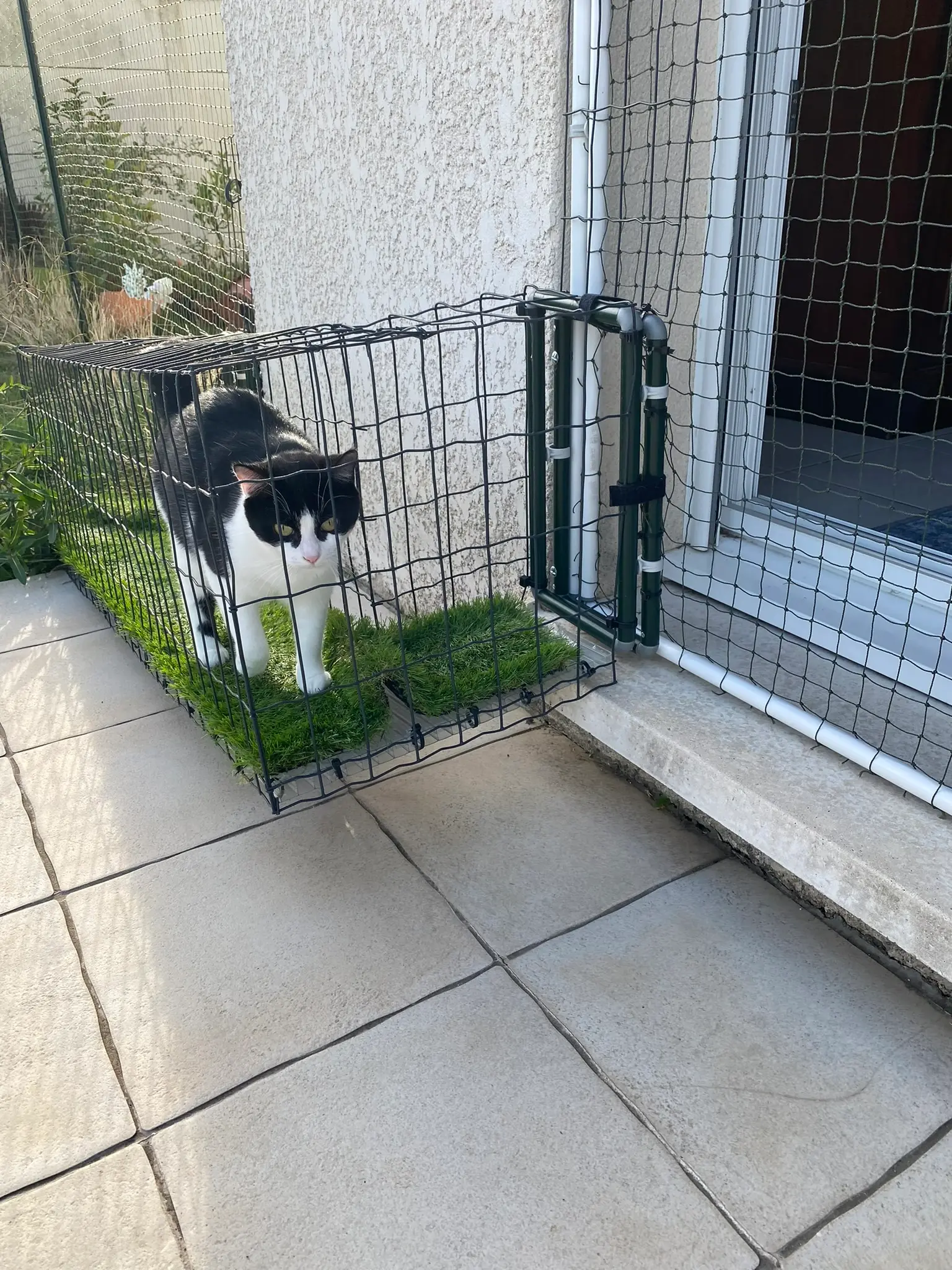 Tunnel sécurisé pour chat installé le long d’une clôture de jardin