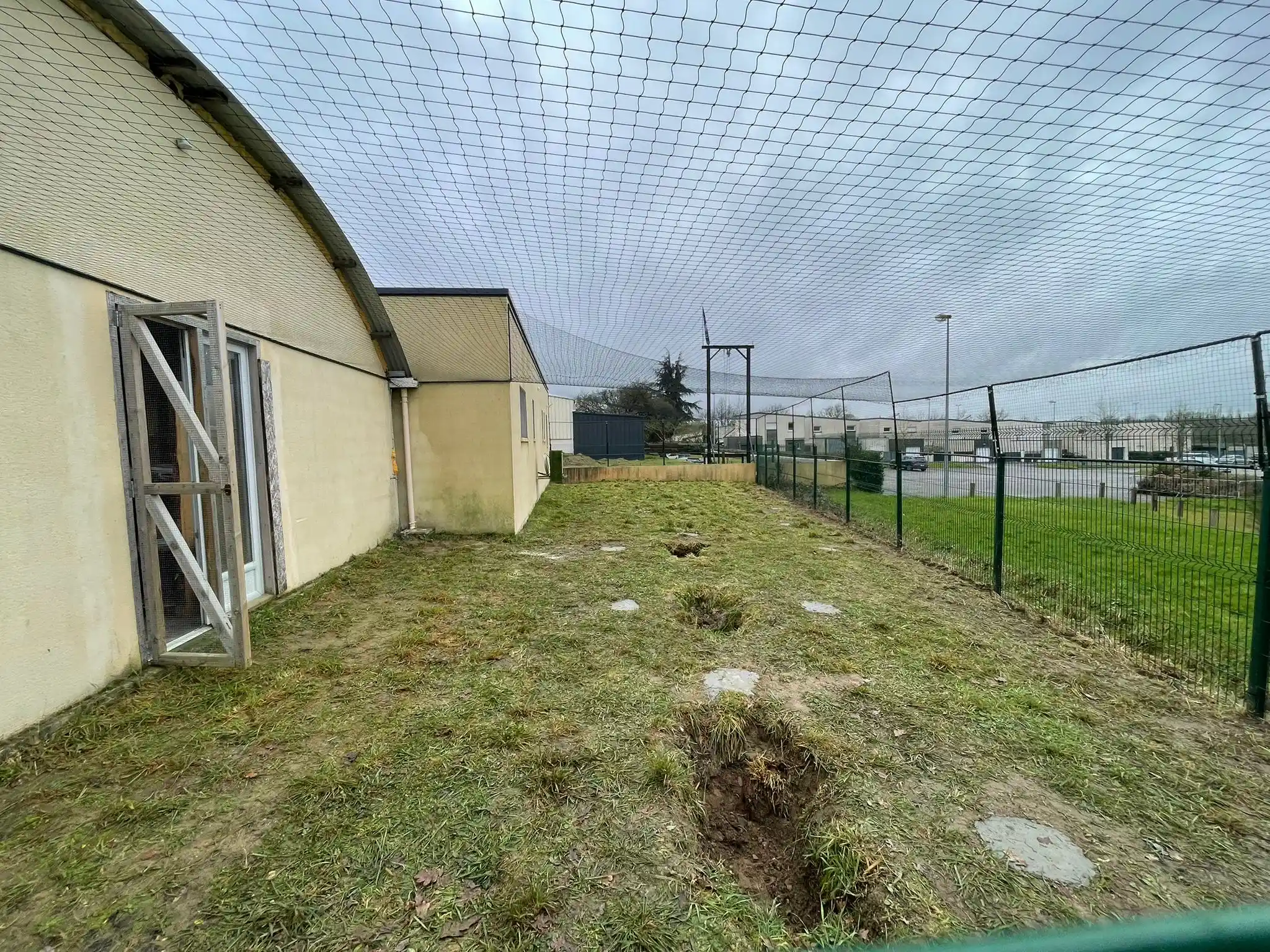 Filet aérien installé au-dessus d’un jardin pour empêcher un chat de s’échapper