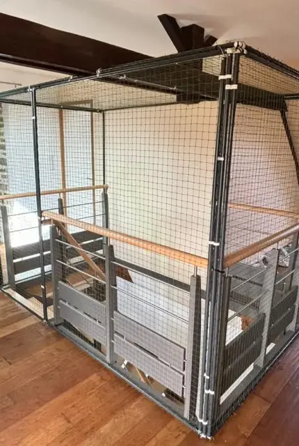 Tunnel sécurisé pour chat installé le long d’une clôture de jardin