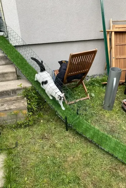 Système Rollercat avec rouleau anti fugue installé sur une clôture de jardin pour chat