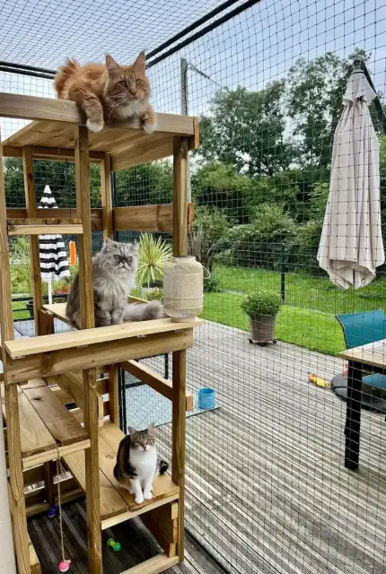 Bavolet anti fugue fixé sur une clôture grillagée pour chat