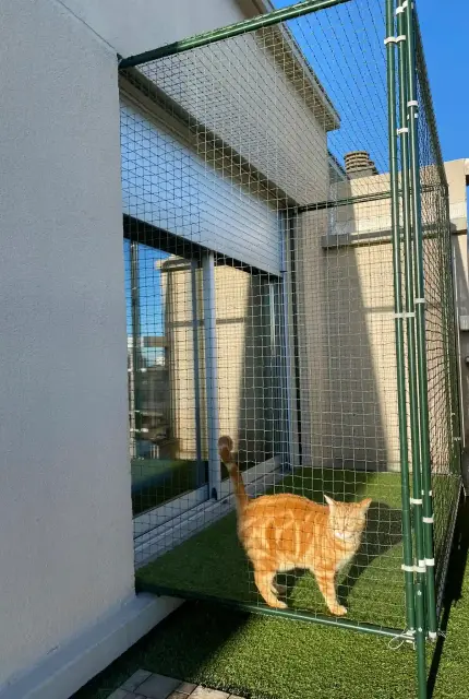 Catio de jardin permettant au chat de profiter de l’extérieur en sécurité