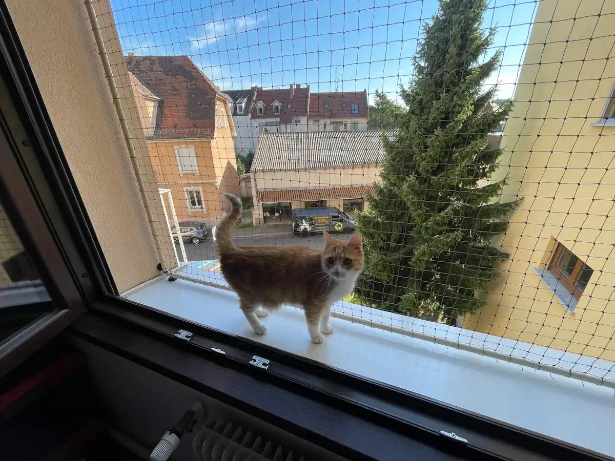 Bavolet anti fugue fixé sur une clôture grillagée pour chat