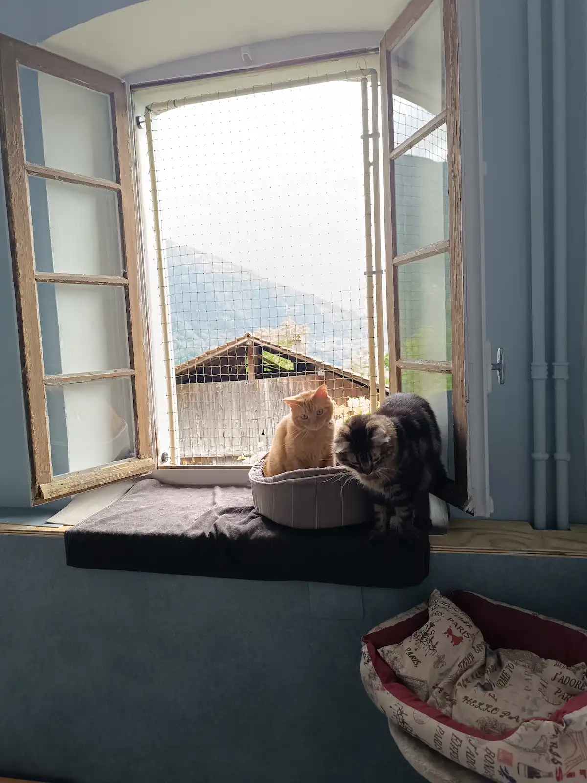 Bavolet anti fugue fixé sur une clôture grillagée pour chat