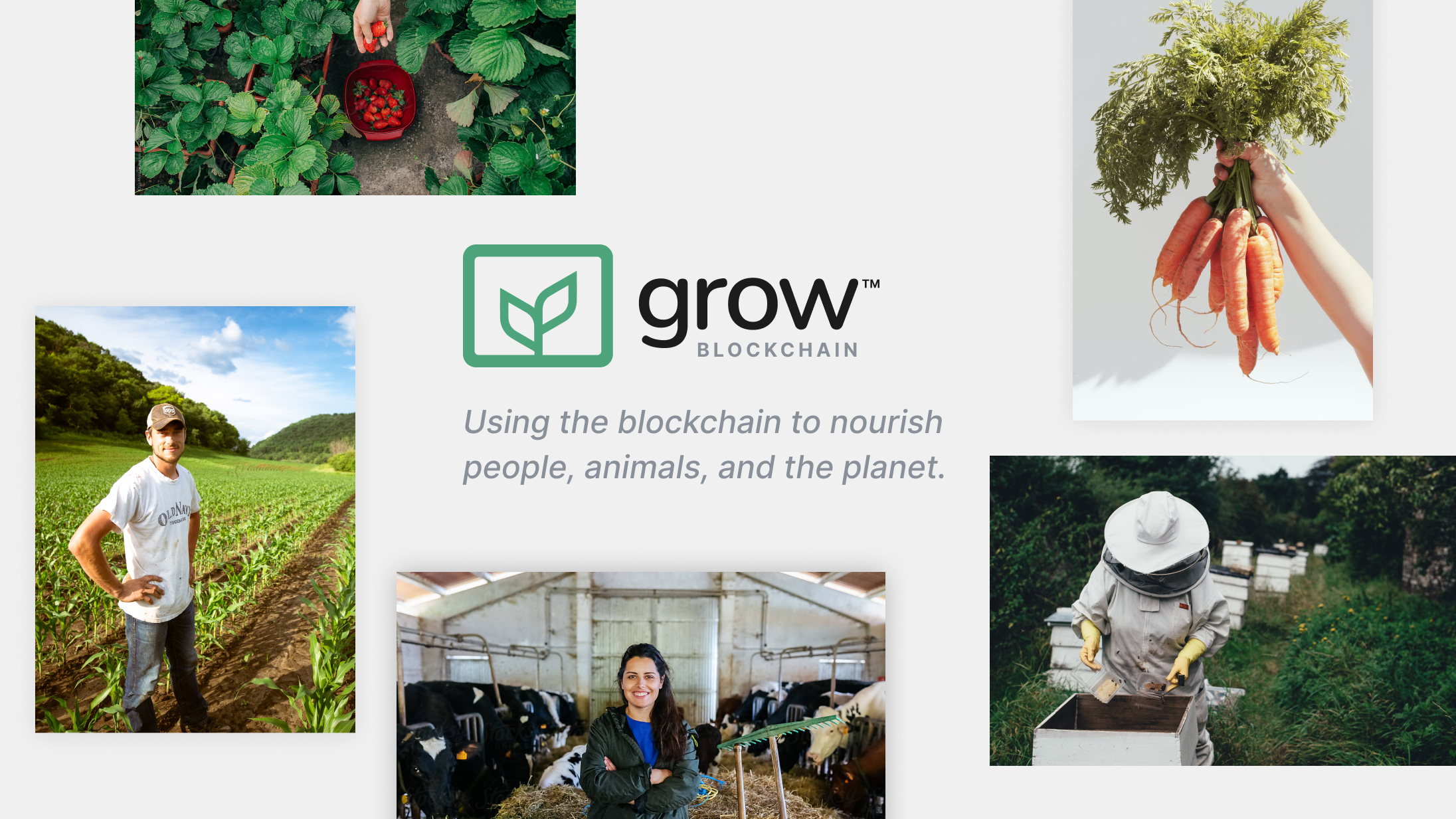 Grow United
