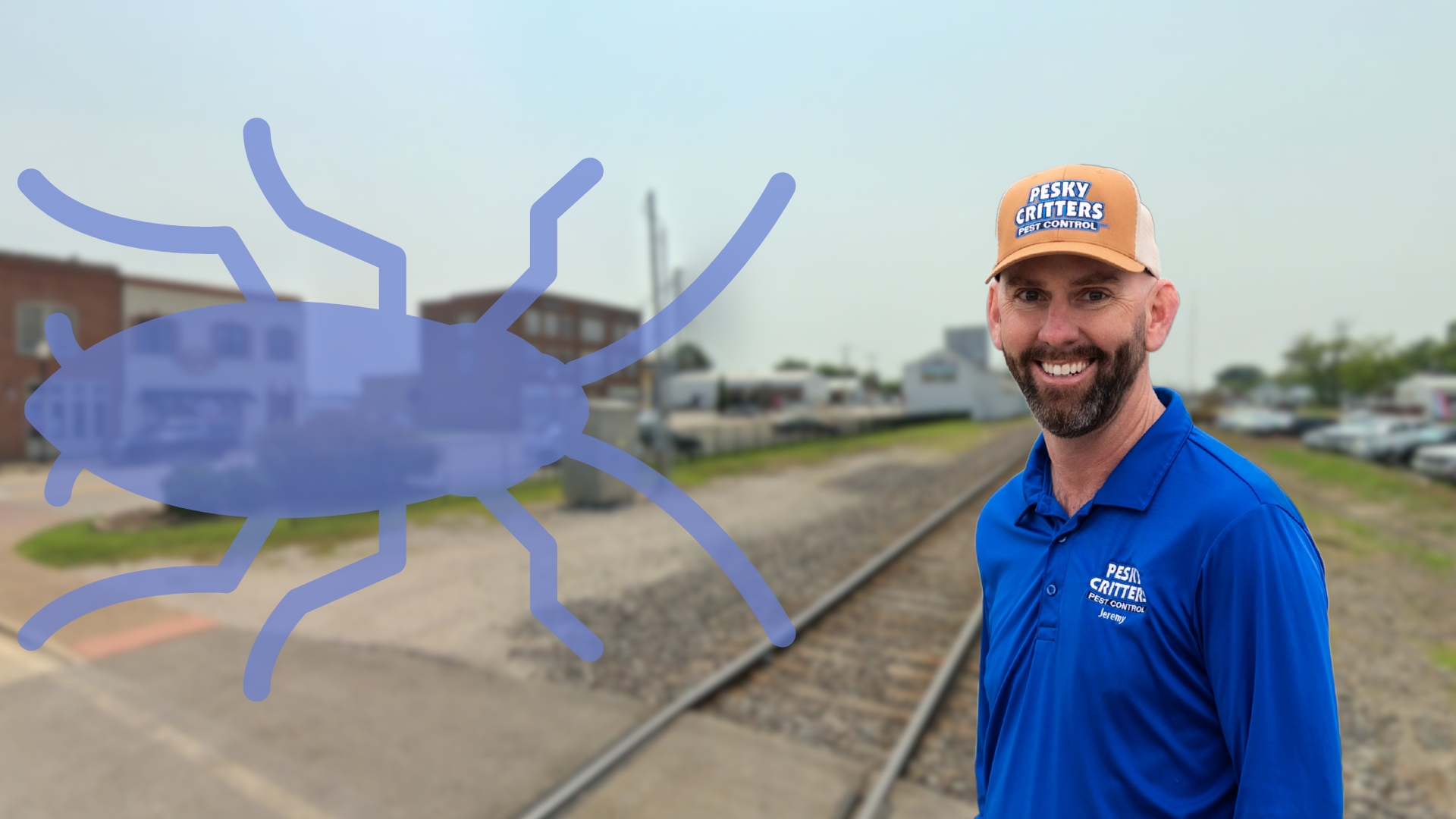 Cockroach Control Exterminator in Wentzville, MO