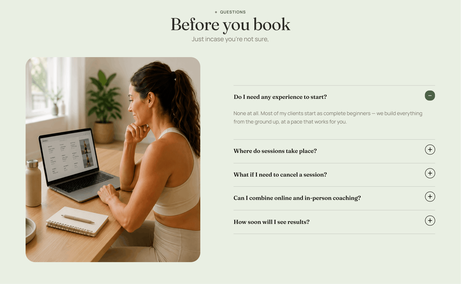Money Muse Website Preview