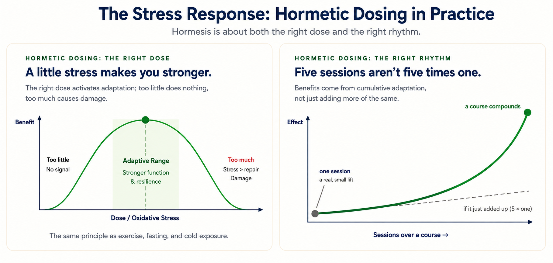 Hormetic dosing chart: the right ozone dose and the right rhythm build cumulative adaptation