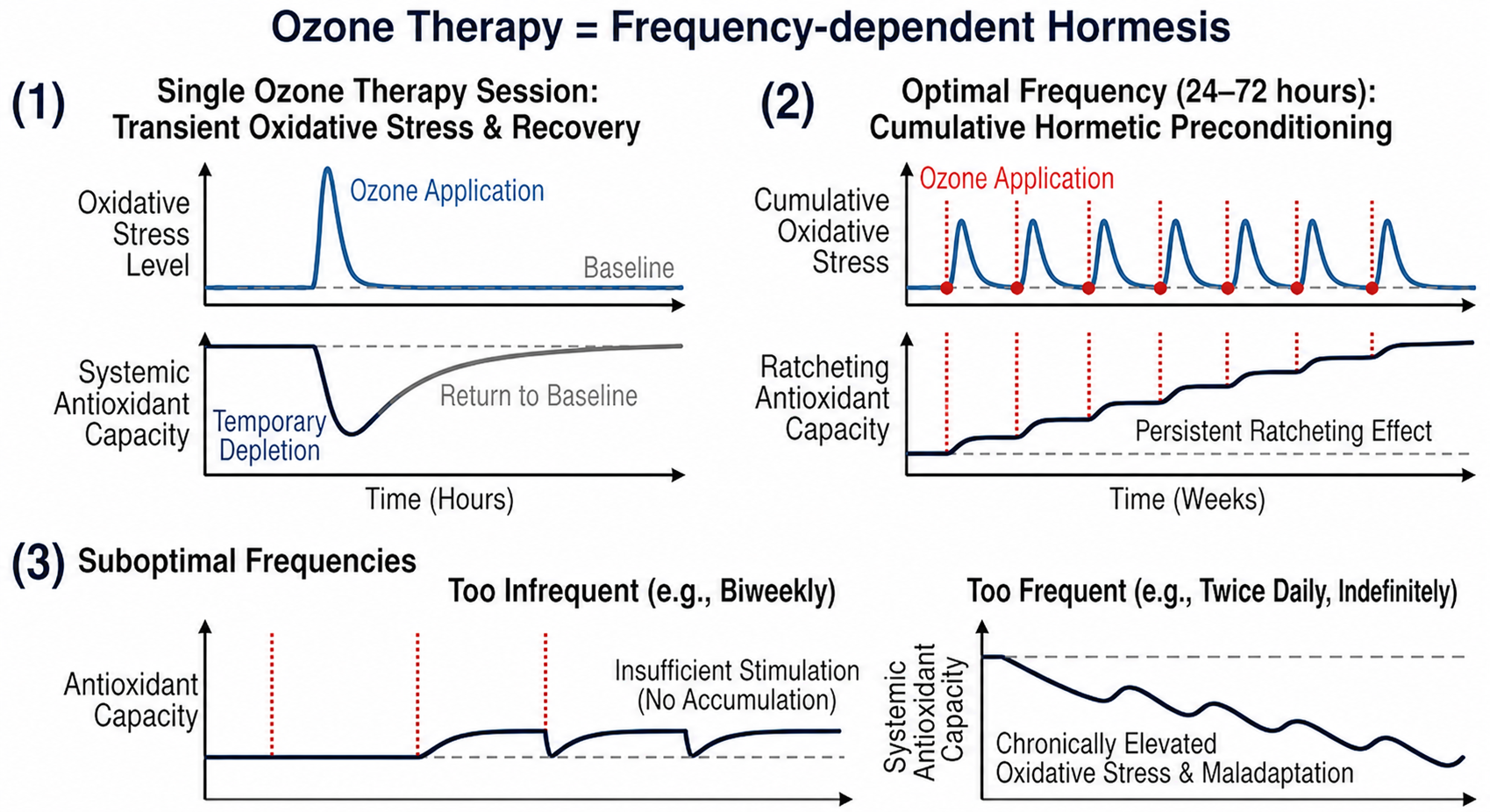 Ozone therapy as frequency-dependent hormesis: a single session causes transient oxidative stress and recovery; optimal 24-72 hour spacing ratchets antioxidant capacity upward; too-infrequent or too-frequent dosing fails to build it