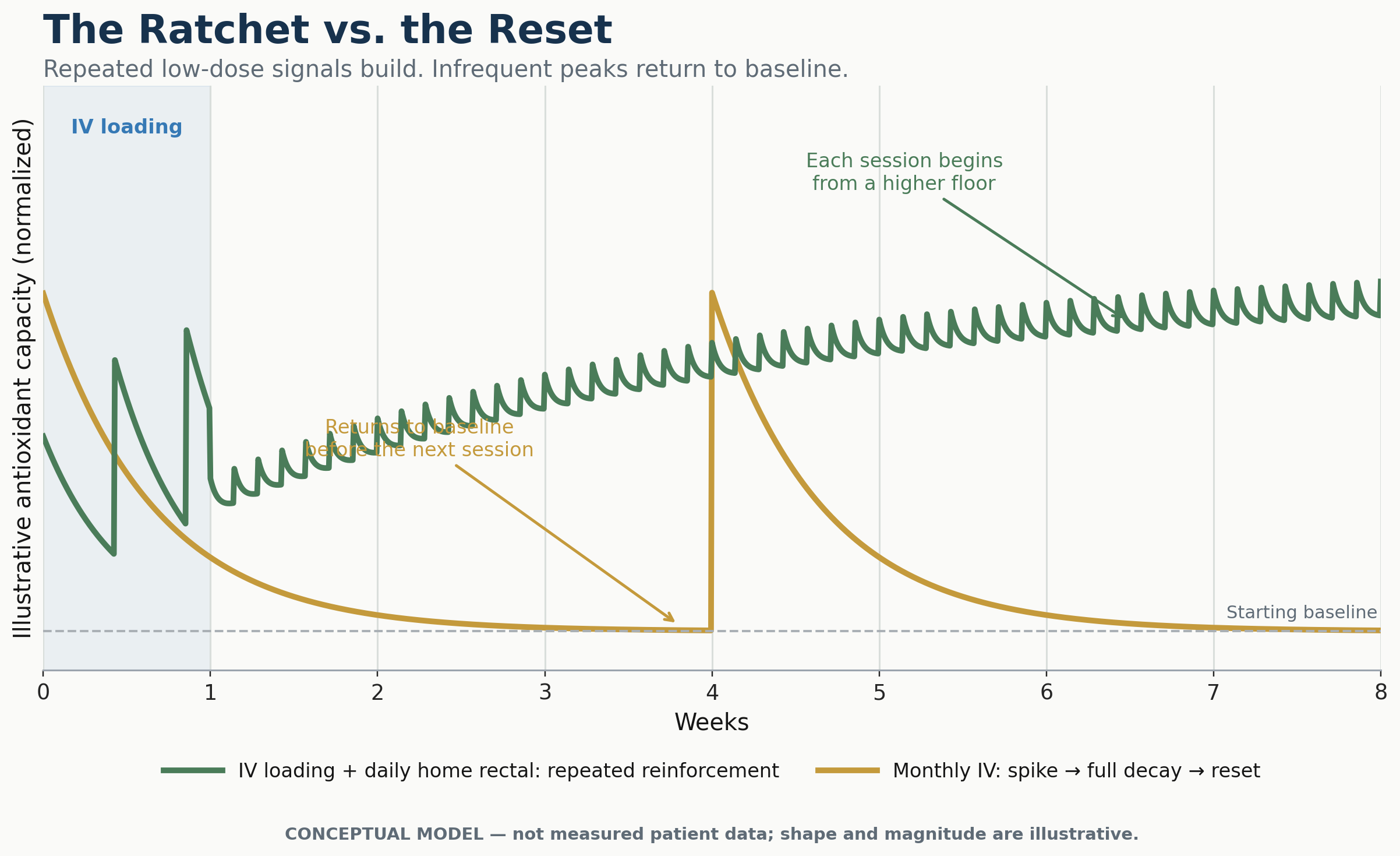 Conceptual line chart over eight weeks: IV loading followed by frequent home rectal ozone ratchets antioxidant capacity upward from a rising floor, while monthly IV spikes and fully decays back to baseline before the next session.