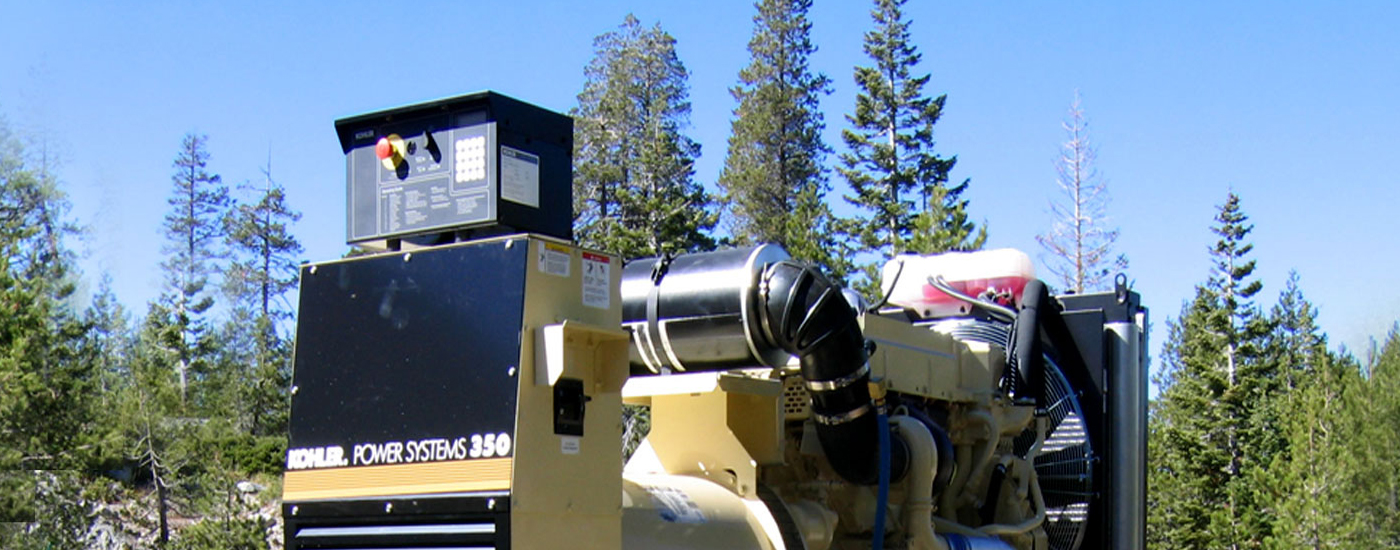 Gas-Fired and Cogeneration