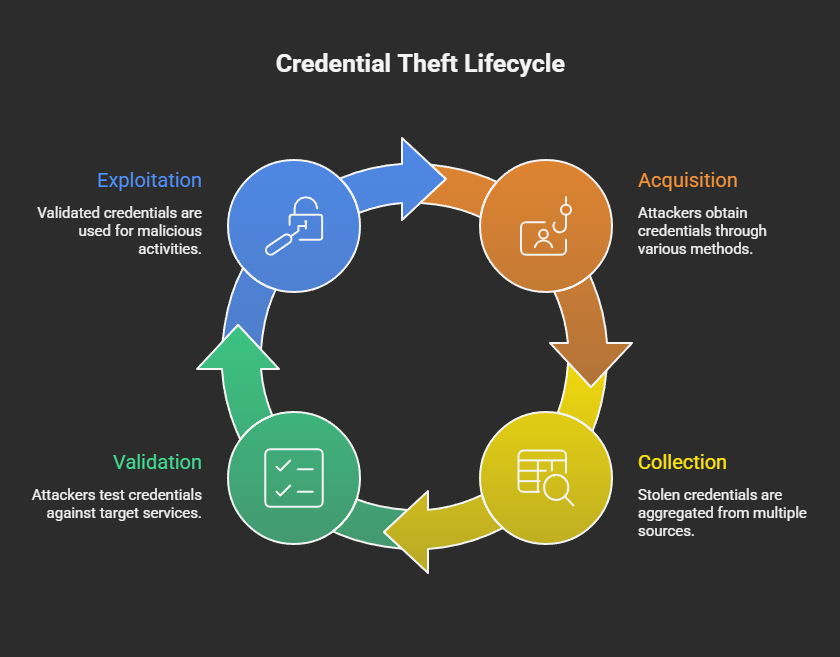 The credential theft lifecycle from initial acquisition to exploitation.
