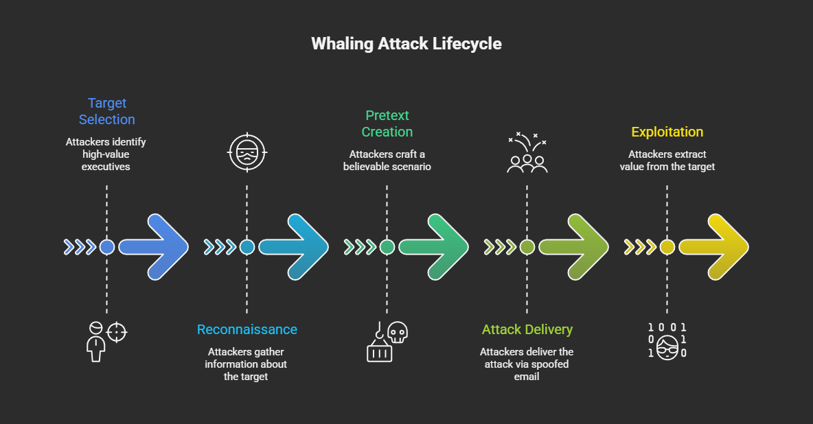 Diagram: Five-stage whaling attack lifecycle from target selection through exploitation, with detection opportunity markers at each stage transition.