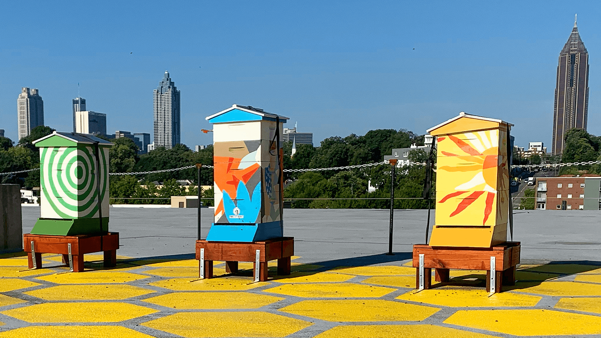 BEE Downtown hives in the city