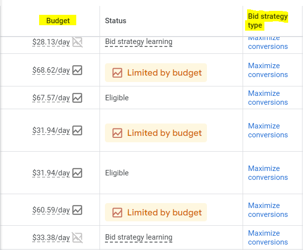 Screenshot from Google Ads showing the Budget and Bid Strategy Type columns.