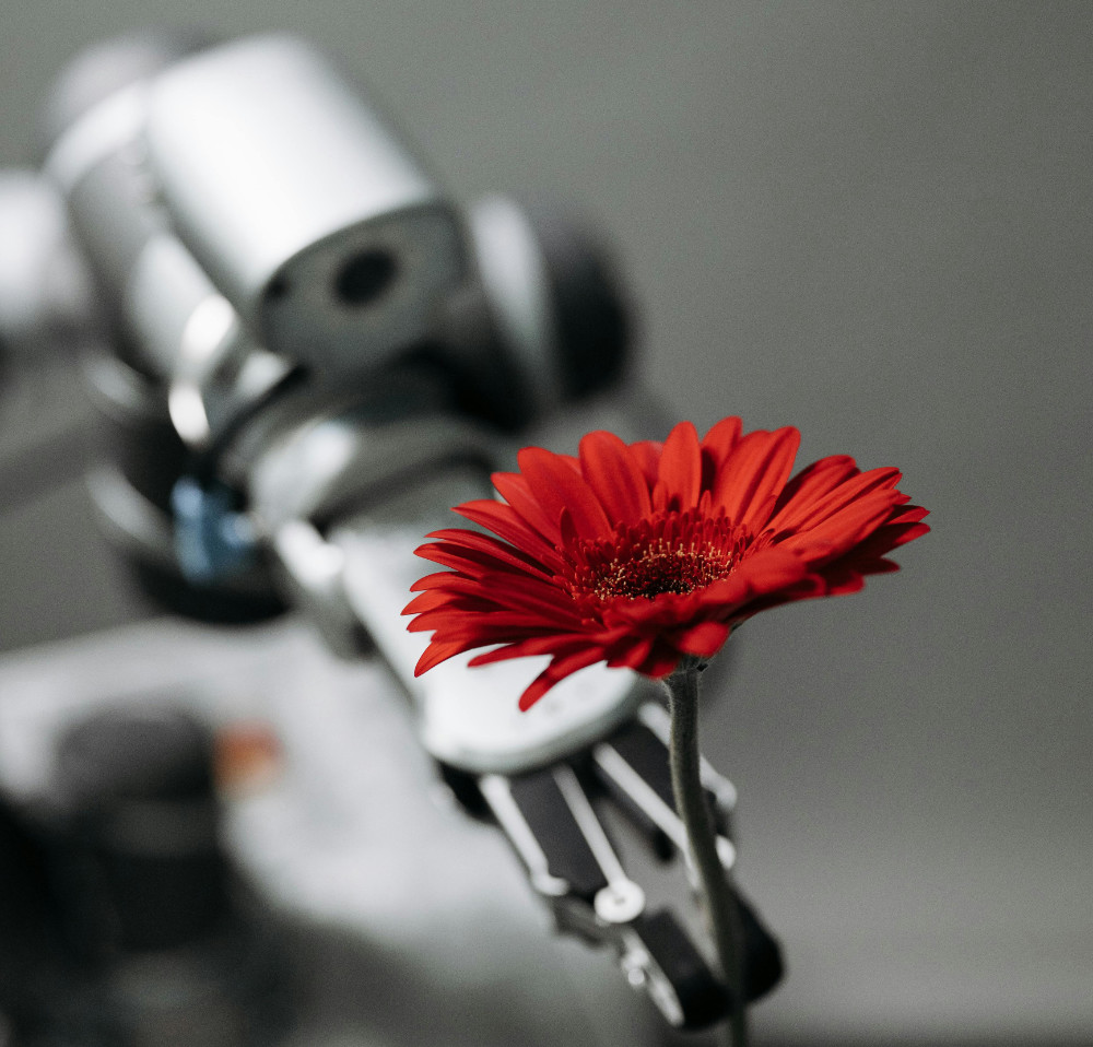 Robot intelligence artificielle qui offre une fleur