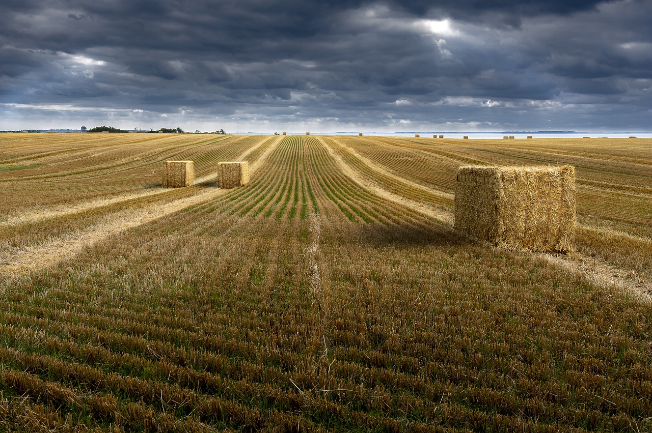 agroalimentaire image