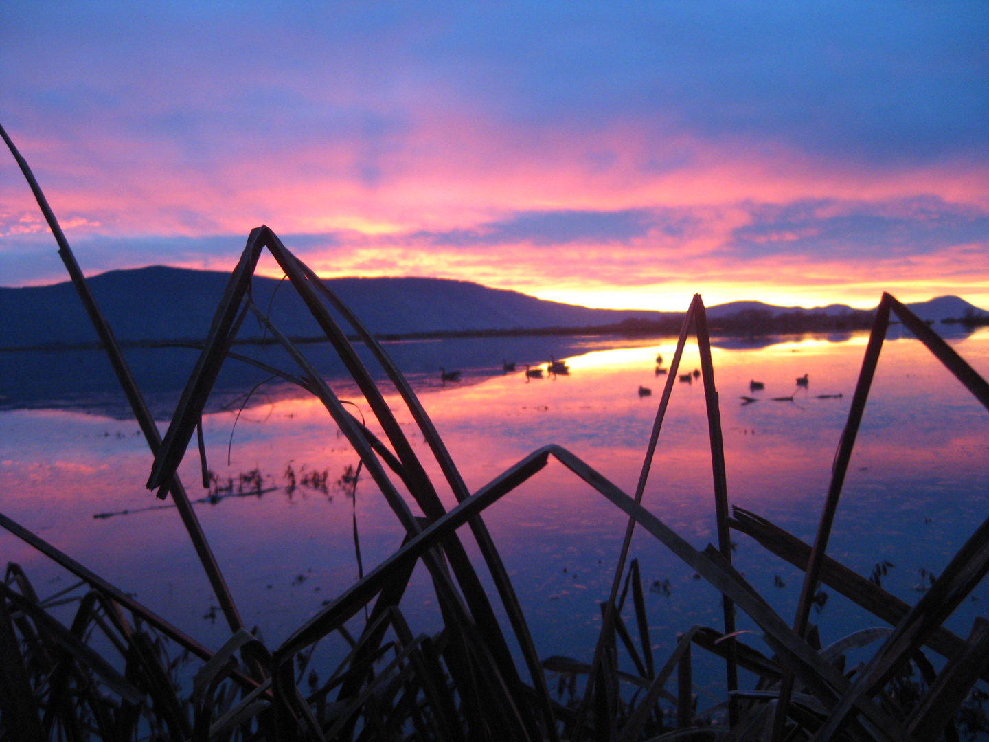 Klamath Experience Partners Image