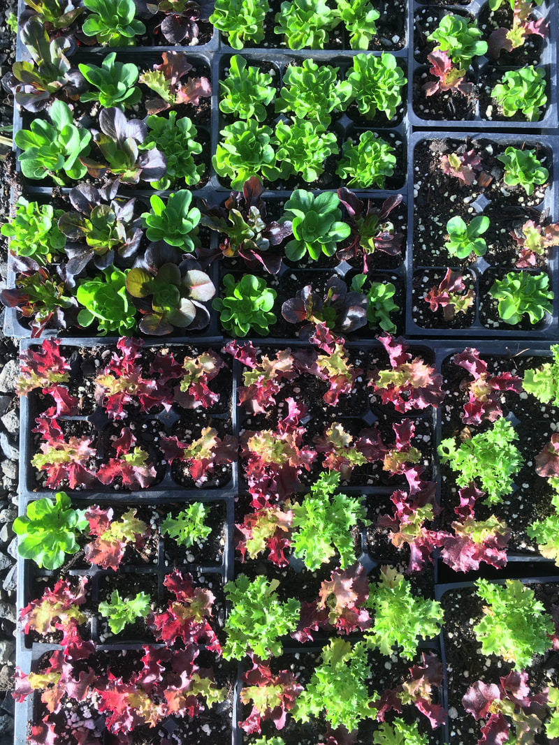 Klamath Experience Partners Image