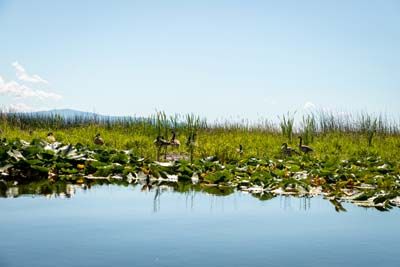 Klamath Experience Partners Image