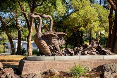 Klamath Experience Partners Image