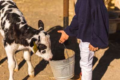 Klamath Experience Partners Image