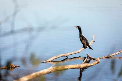 Klamath Experience Partners Image