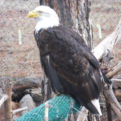 Klamath Experience Partners Image