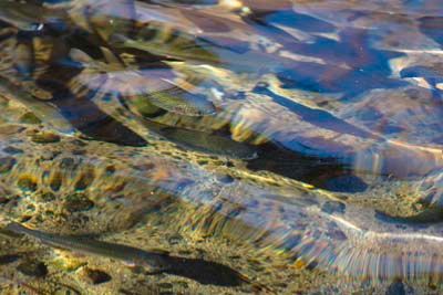 Klamath Experience Partners Image