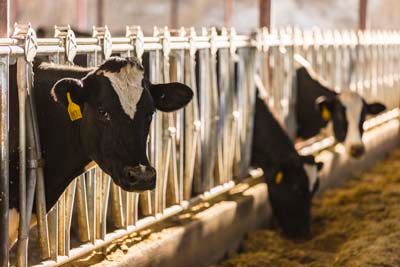 Klamath Experience Partners Image