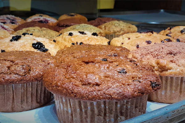 Klamath Experience Partners Image