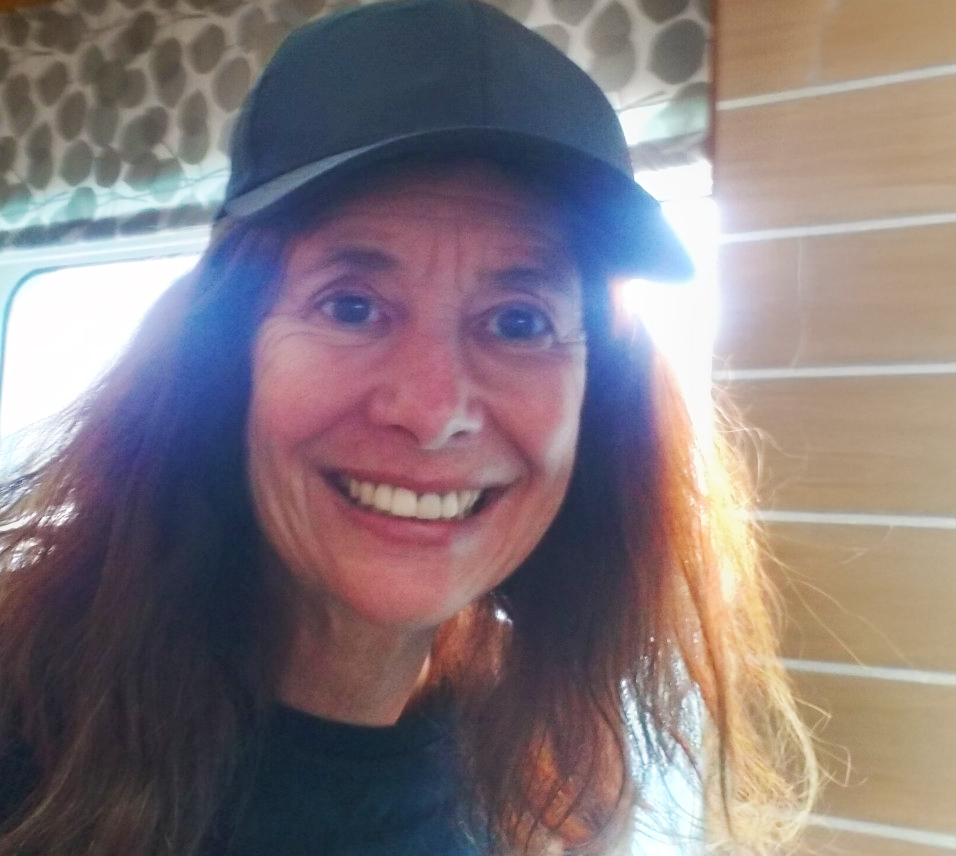 Sue Grey - SaferTechNZ advisory board