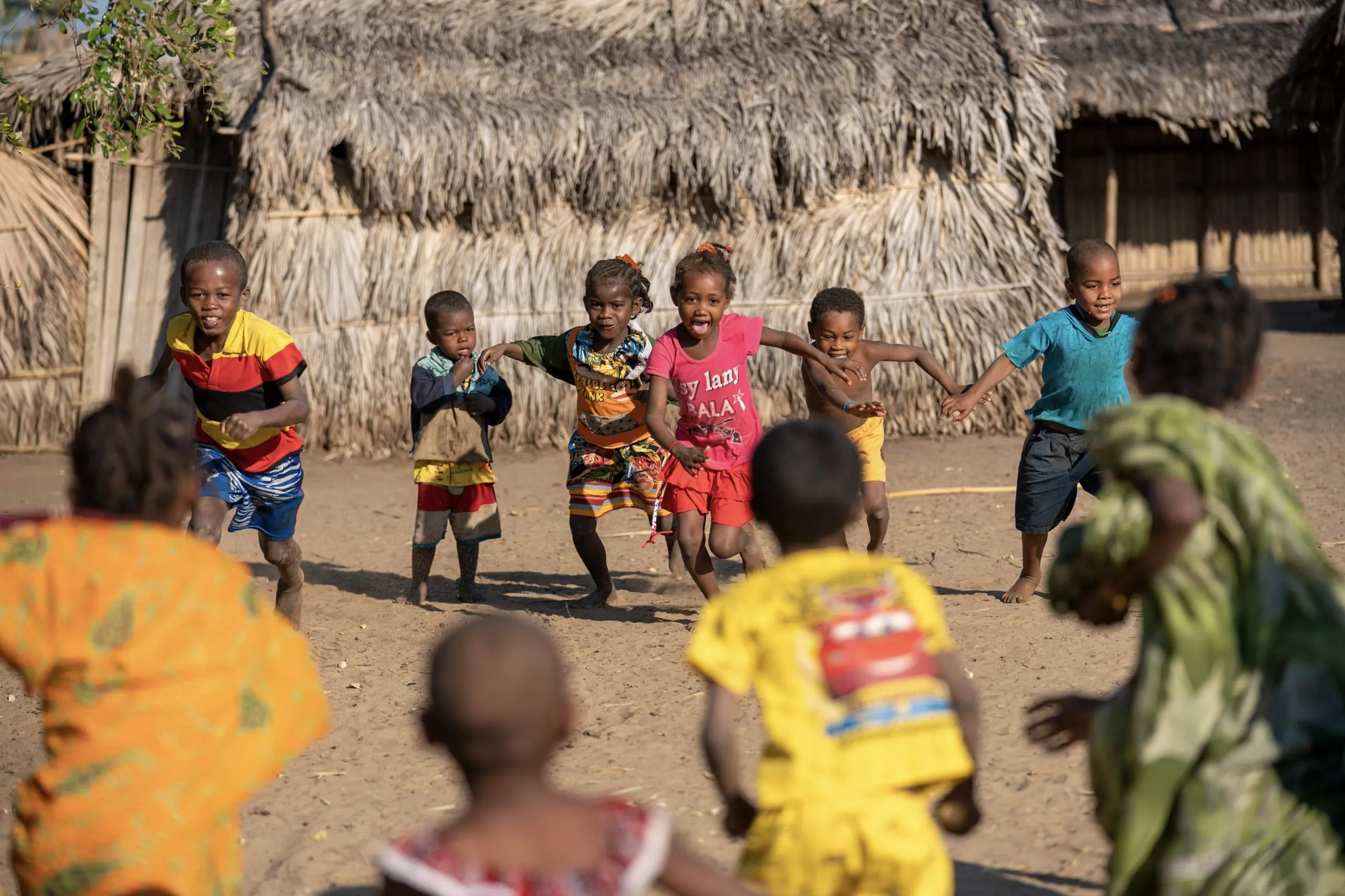 Reforestation Project Photo 3