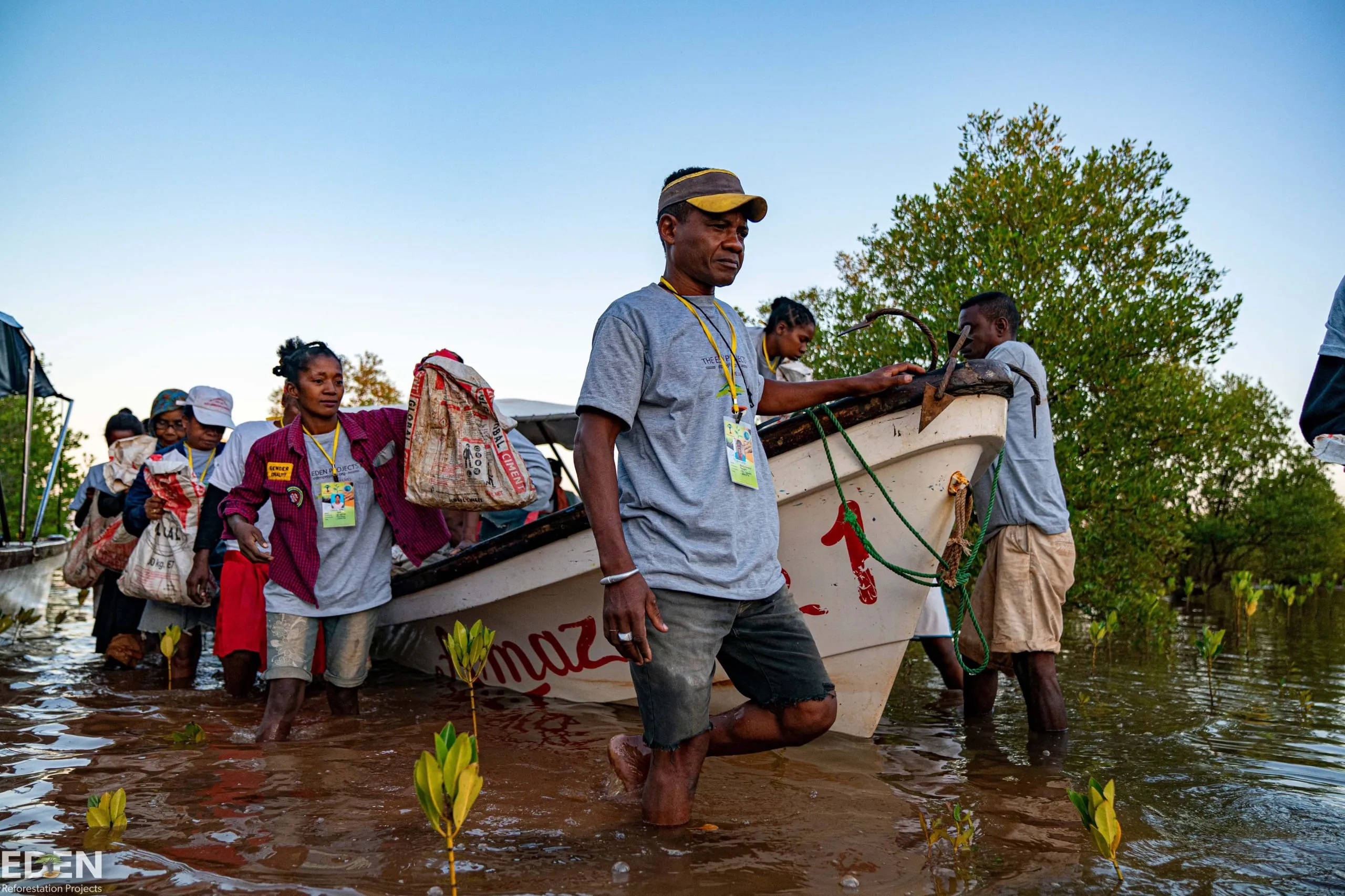 Reforestation Project Photo 1