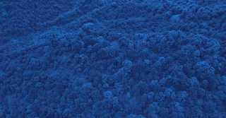 NOM-152-SEMARNAT-2006 sobre manejo forestal sustentable en México [Resumen y PDF]