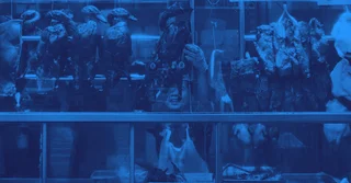 NOM-009-ZOO-1994 sobre Proceso Sanitario de la Carne [Resumen y PDF]