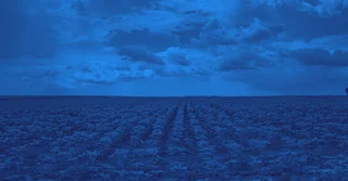 NOM-033-FITO-1995 sobre Comercialización de Plaguicidas Agrícolas [Resumen y PDF]