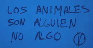 NOM-166-SCFI-2005 sobre Chalecos Antibalas [Resumen y PDF]