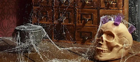 Skull covered in cobwebs