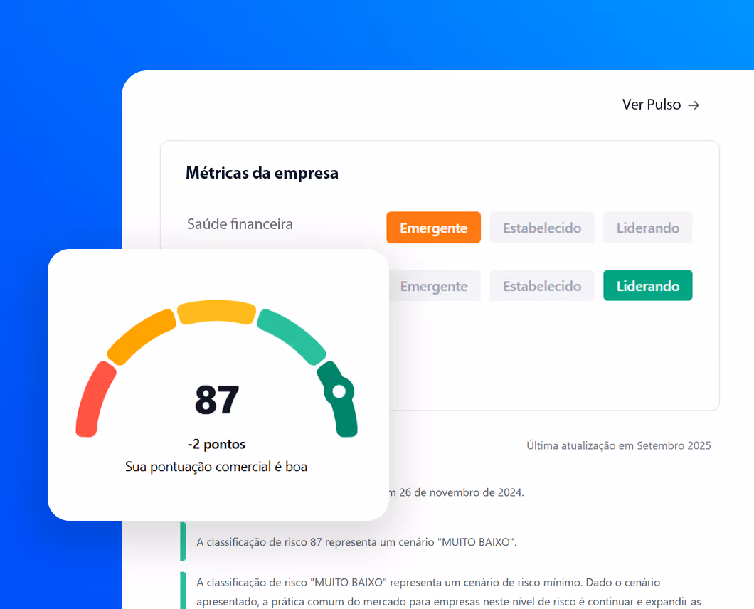 Telas do CIAL Pulso que mostra um gráfico sobre a pontuação comercial da empresa.