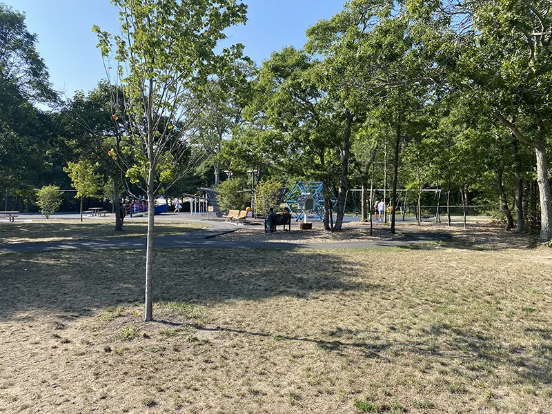 An overview of the park with saplings growing