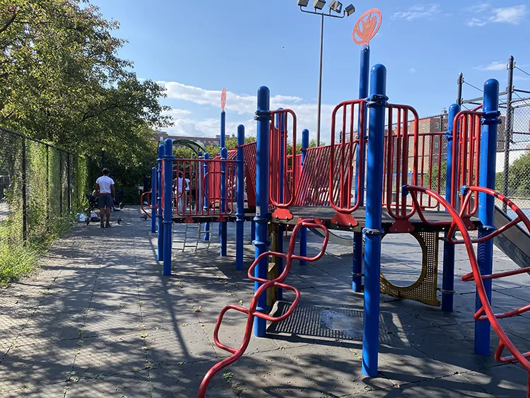 the unkempt vines at the playground 