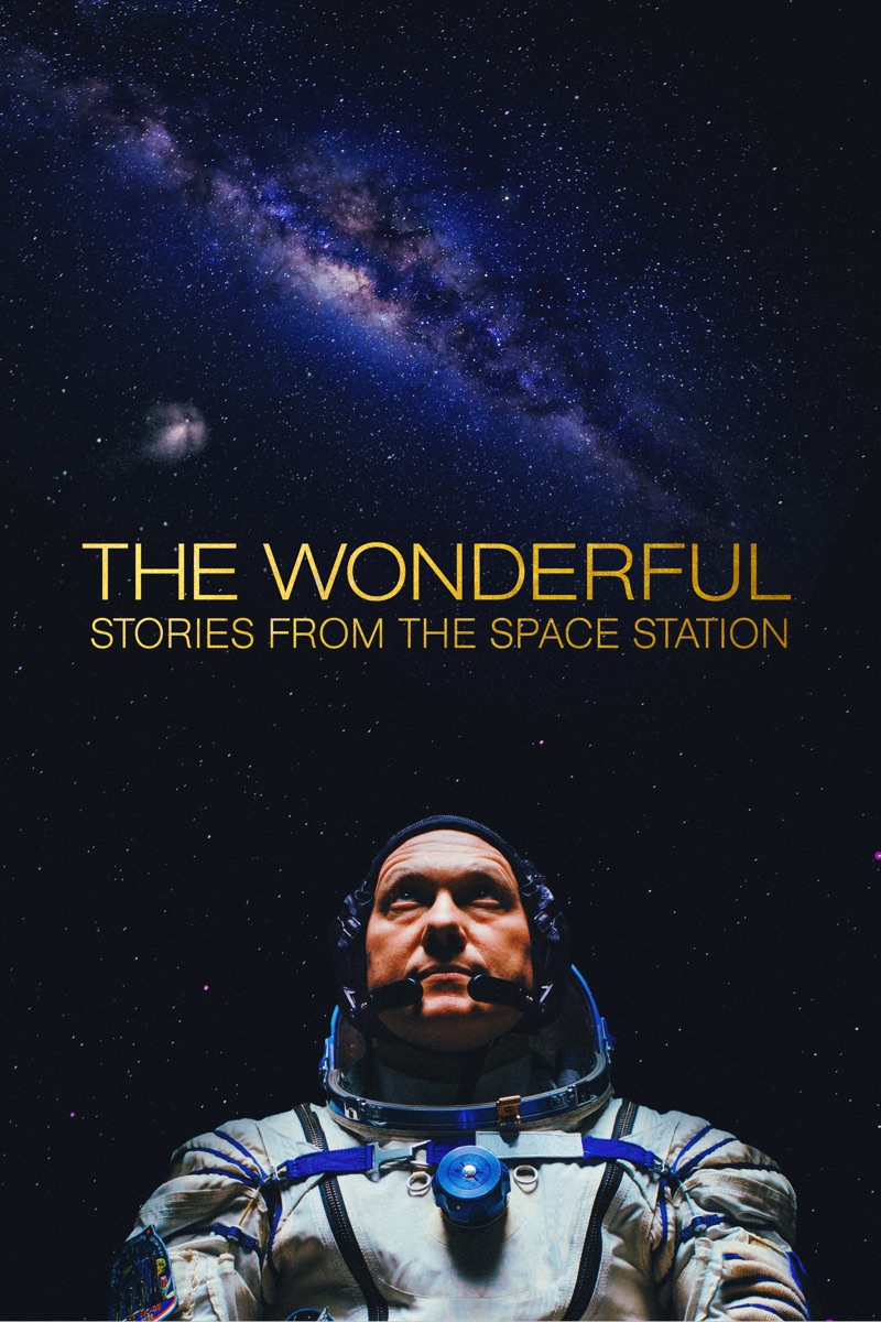 Travis Scott "Wonderful" cover art