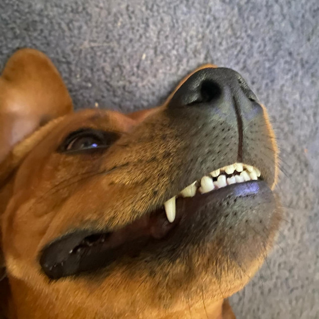 Alex Warren "You'll Be Alright, Kid" cover art