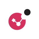 Check Point Software Technologies logo