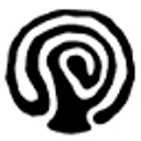 Phylo logo