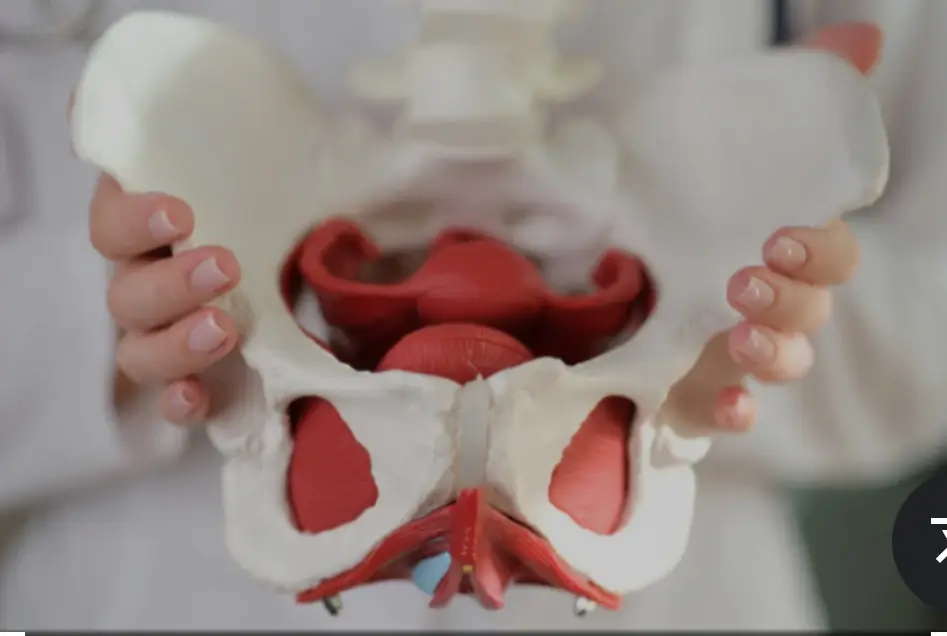 Pelvic health and pelvic floor