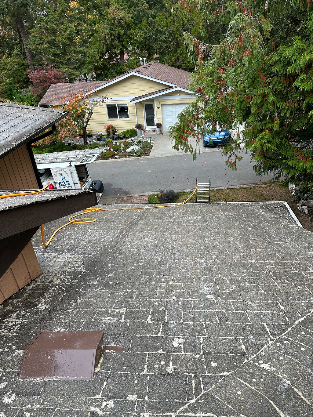 moss remover Victoria