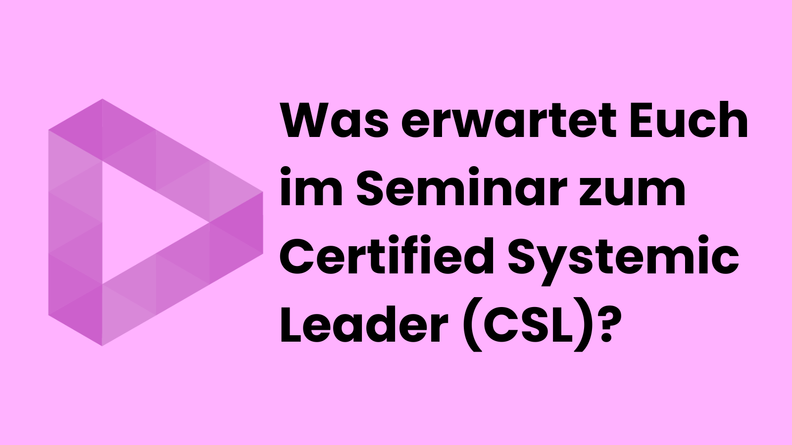 Vorschaubild des Videos „Was erwartet euch im Seminar zum Certified Systemic Leader (CSL)?“ mit dem Logo von die.agilen in Violett.